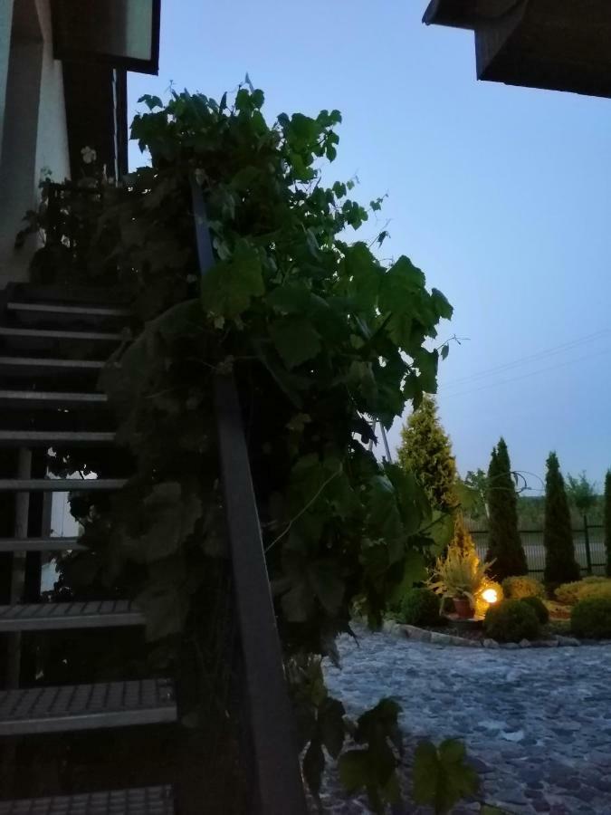 Sloneczne Zacisze Apartman Wicko  Kültér fotó