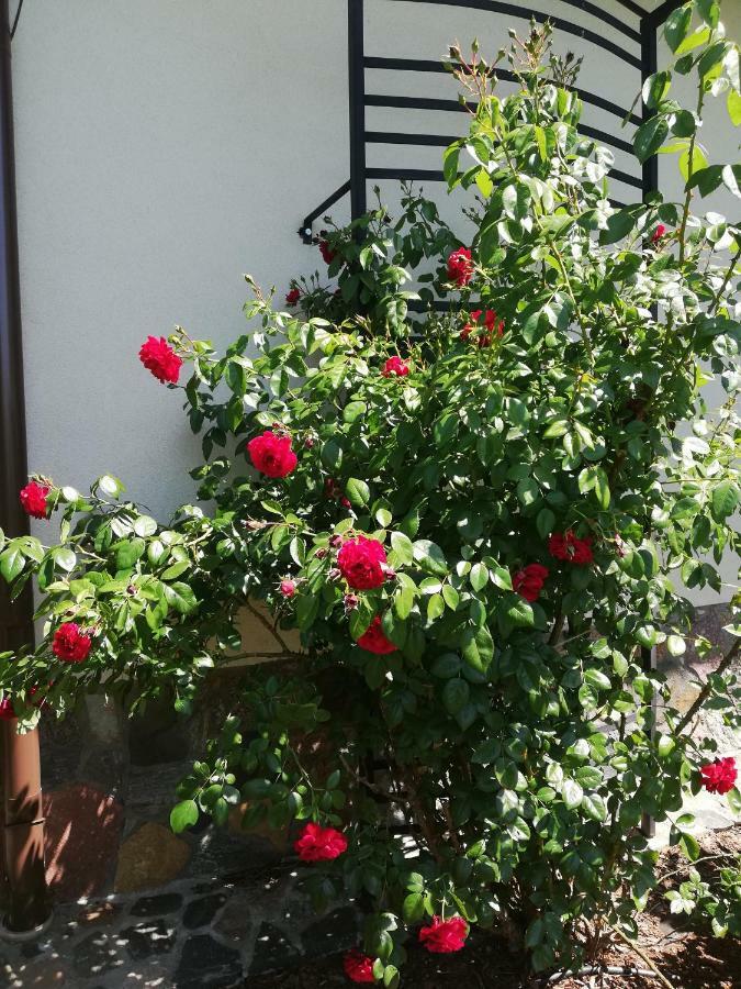 Sloneczne Zacisze Apartman Wicko  Kültér fotó
