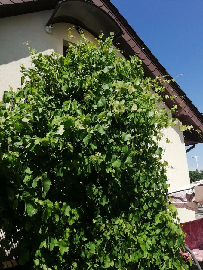 Sloneczne Zacisze Apartman Wicko  Kültér fotó